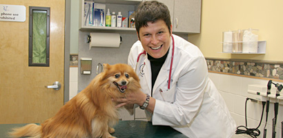 Dr. Collins of Valley Cottage Animal Hospital