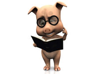 Pig reading a book