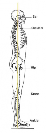 Proper posture