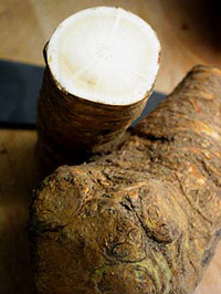 Horseradish