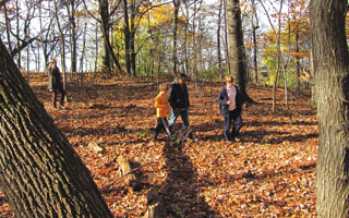 Peabody parents look to convert wetland to outdoor learning space