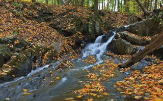 scenic hudson photo exhibit