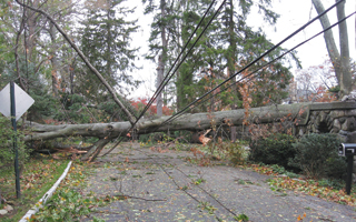 Hurricane Sandy damage in Briarcliff Manor New York