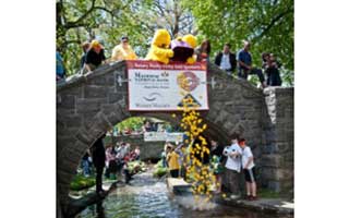 6th Annual Tarrytown Rotary Ribber Duck Derby