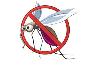 eliminate breeding sites for mosquitoes