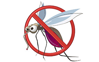 eliminate breeding sites for mosquitoes