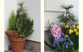 winter and spring planters