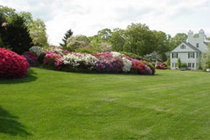 Lasdon Arboretum Somers NY