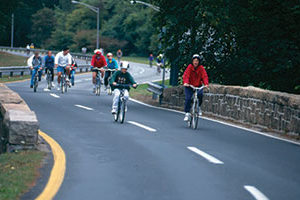 Bicycle Sundays on Bronx River Parkway Fall 2013