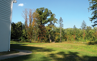 New sports field in Briarcliff Manor