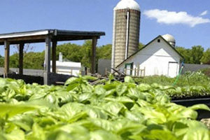 Farming Hilltop Hanover Farm