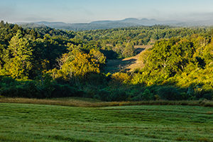 Property recently protected by Scenic Hudson in New Baltimore, Greene County, conserves scenic meadows and woodlands in foreground of magnificent Catskill Mountain views. (photo: Robert Rodriguez, Jr. / Scenic Hudson)