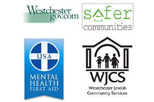 Youth Mental Health First Aid forum March 13th