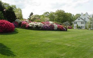 Lasdon Park and Arboretum
