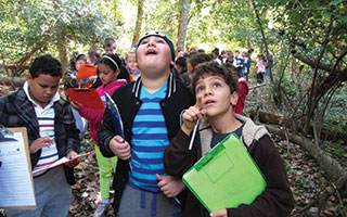 Students explore the Peabody Preserve Outdoor Classroom.