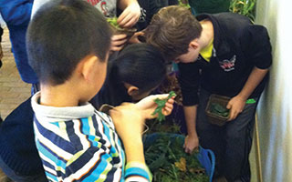 Students from Main Street School got their hands dirty during a visit to Stone Barns.