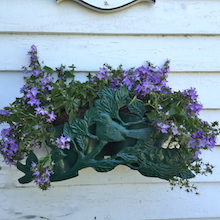 A repurposed wall-mounted garden hose holder serves as a focal point and planter on this otherwise blank exterior wall. 