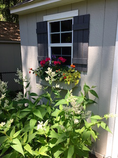  A window box dresses up this humble garden shed and adds a spark of color to an otherwise neutral palette.