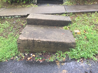 Uneven sidewalks and eroded curbing to be replaced on Horsechestnut Road.