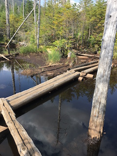 Old log bridges just past Lake Arnold used to cross the always flooded terrain