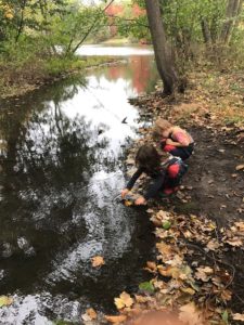 Friends of Fremont Pond