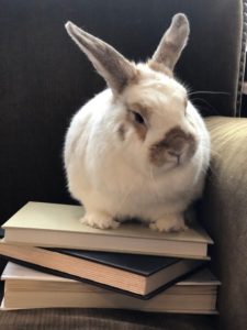 Acorn and Oatmeal, Scattered Books