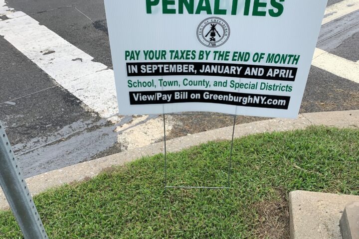 view and pay your taxes