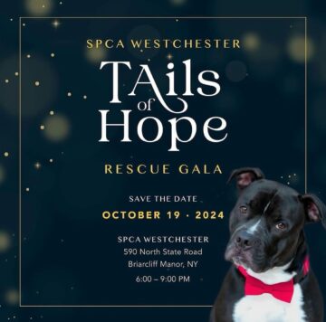 SPCA Westchester Announces it's 2024 Tails of Hope Rescue Gala