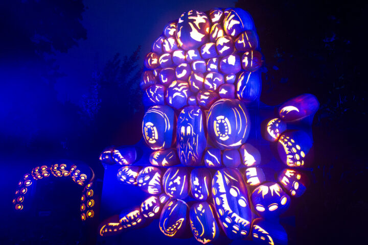 TREASURE nightgarden 展示ポラロイド ジフン TREASURE nightgarden 展示ポラロイド ジフン Weverse Shop on X: