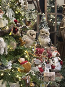 owls in tree